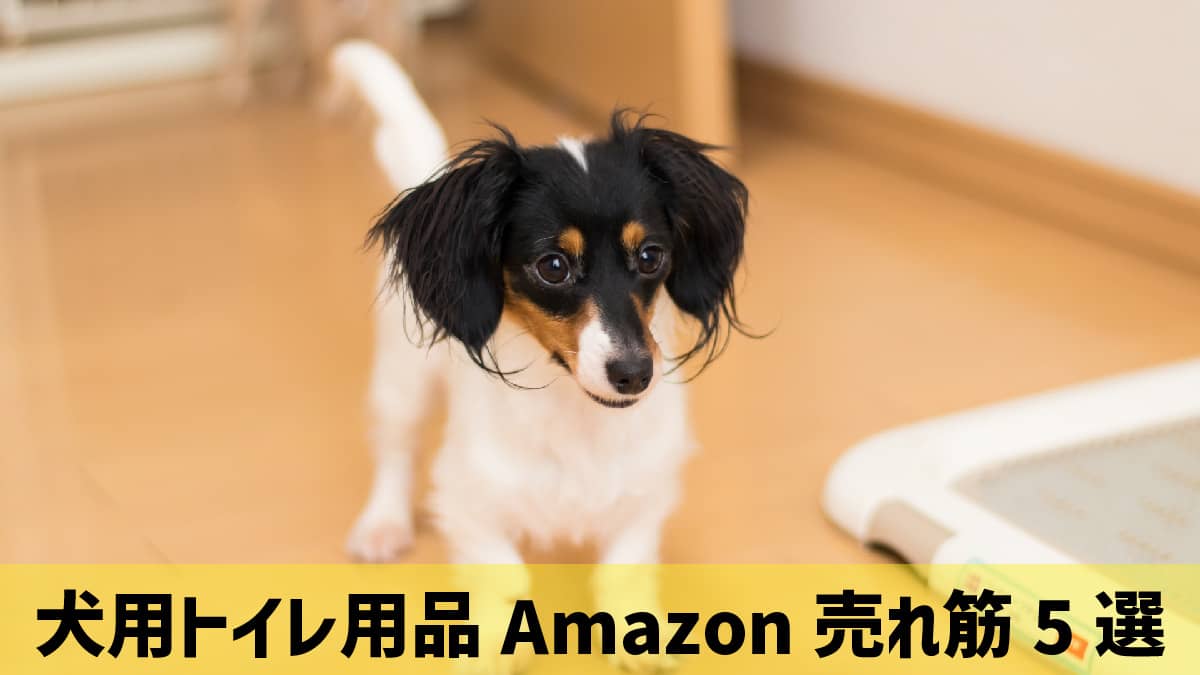 【2023年10月】犬用トイレ用品Amazon売れ筋5選